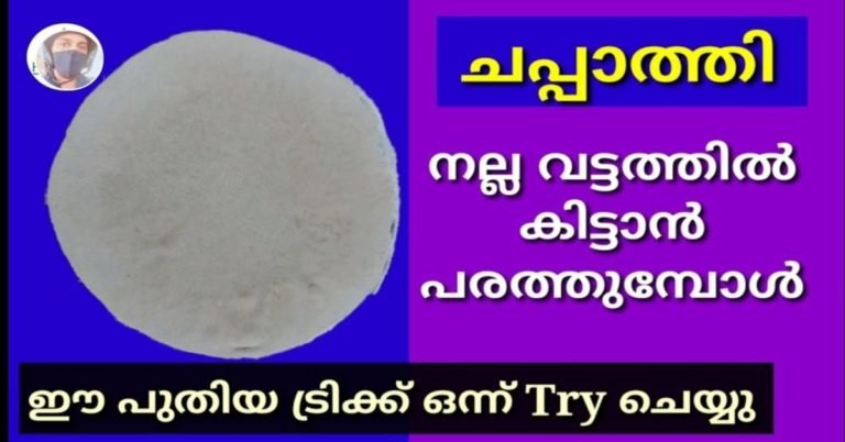വെറും സെക്കന്റുകൾക്കുള്ളിൽ ചപ്പാത്തി നല്ല വട്ടത്തിൽ പരത്താം
