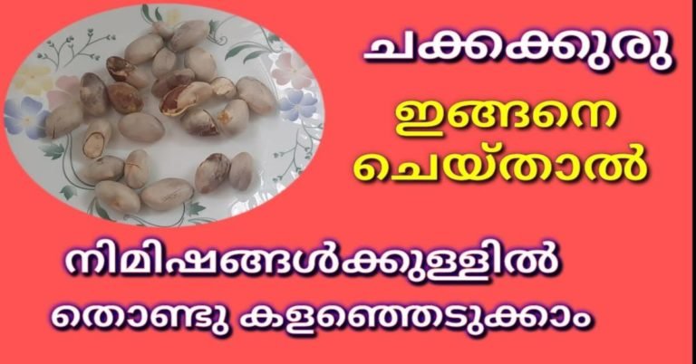 ചക്കക്കുരു ഒറ്റസെക്കൻഡിൽ ക്ലീൻ ചെയ്യാം
