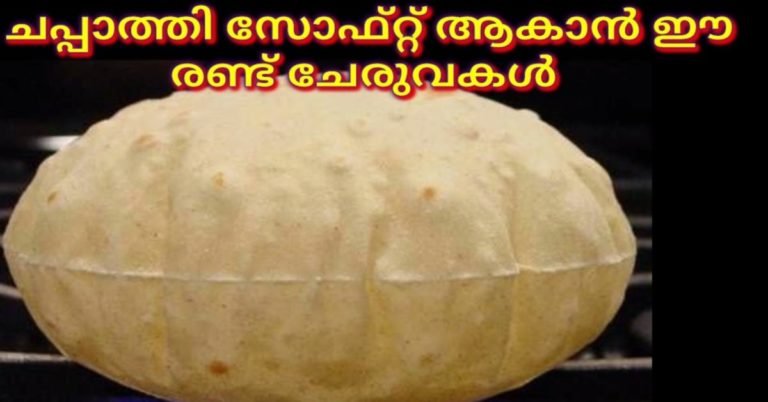 ചപ്പാത്തി പപ്പടം പോലെ പൊങ്ങിവരാൻ ഈ കൂട്ടുകൾ ചേർത്ത്   ഉണ്ടാക്കി നോക്കൂ