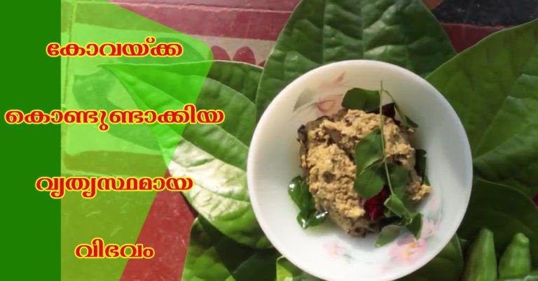 kovakka chammanthi