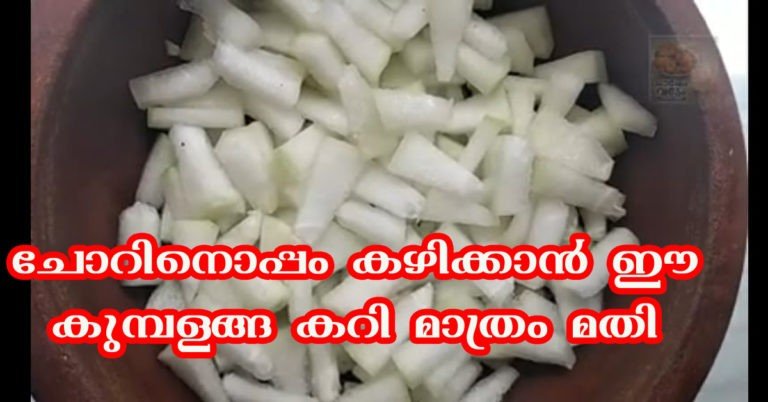 ash gourd curry
