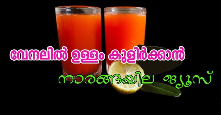 CARROT LEMON LEAF JUICE