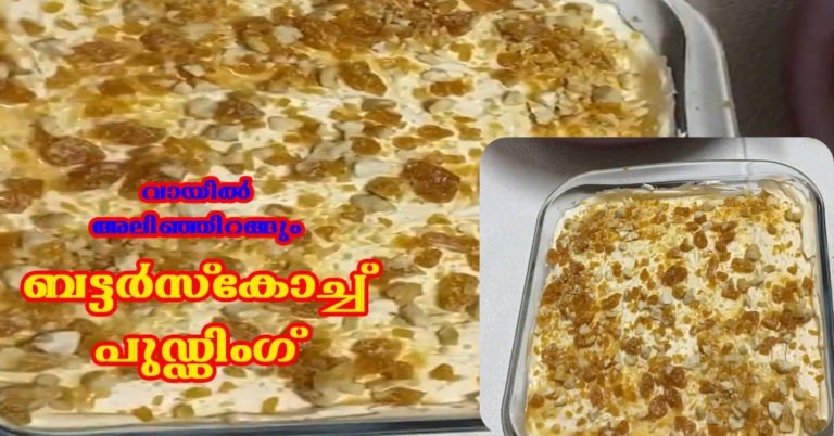 Butter scotch pudding