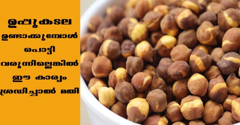 Roasted chickpea