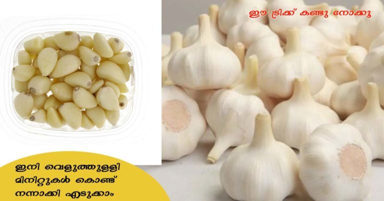 Easy method to peel off garlic