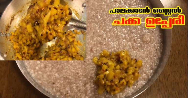 Chakka upperi( palakkadan style)