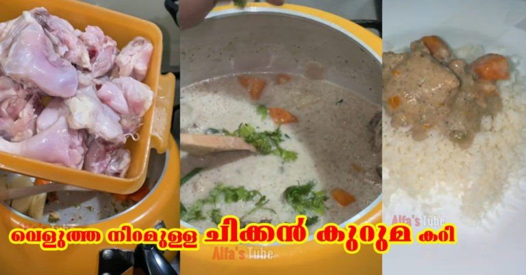 Chicken kuruma curry( chicken stew)
