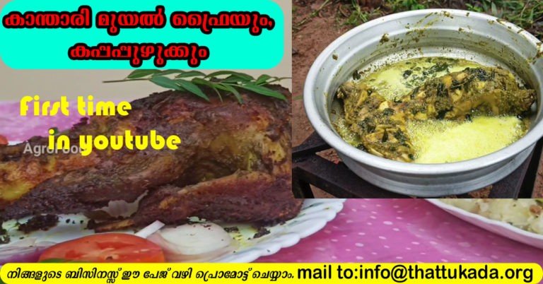 Kanthari muyal(Rabbit) fry