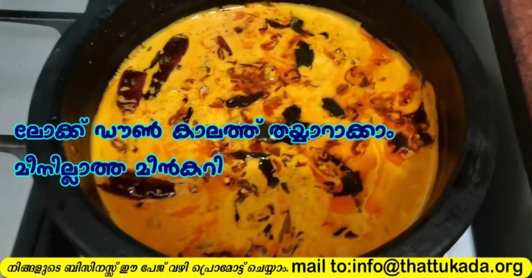 Fish curry without fish( lock down special)
