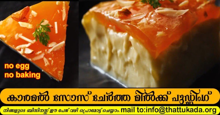 Caramel milk pudding
