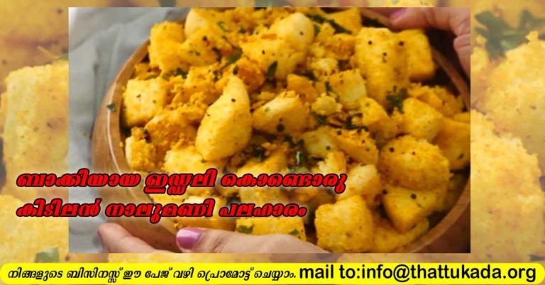 Masala idli