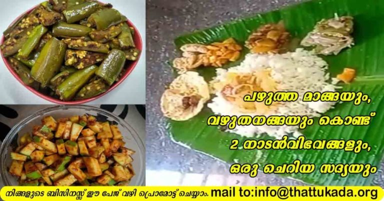 Two simple curries with riped mango and brinjaal