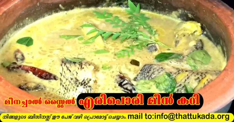 Meenachal fish curry