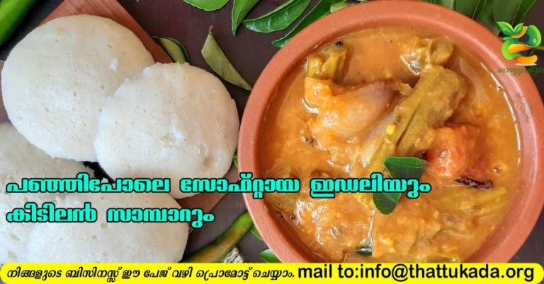 Soft idli and sambaar