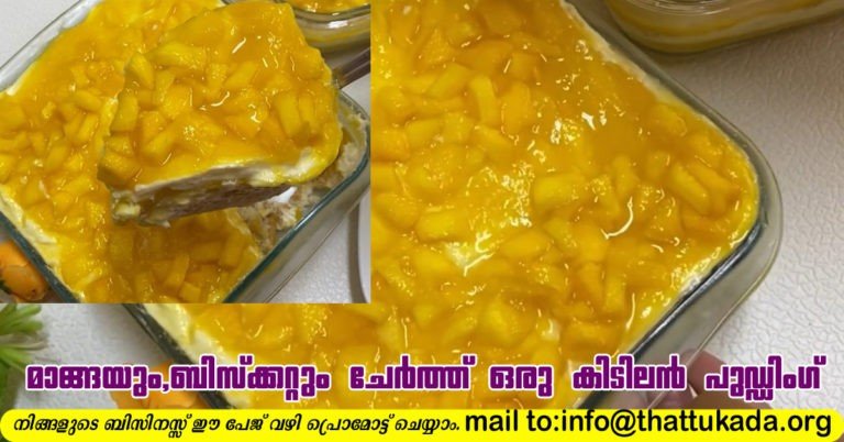 Mango,Biscuit pudding