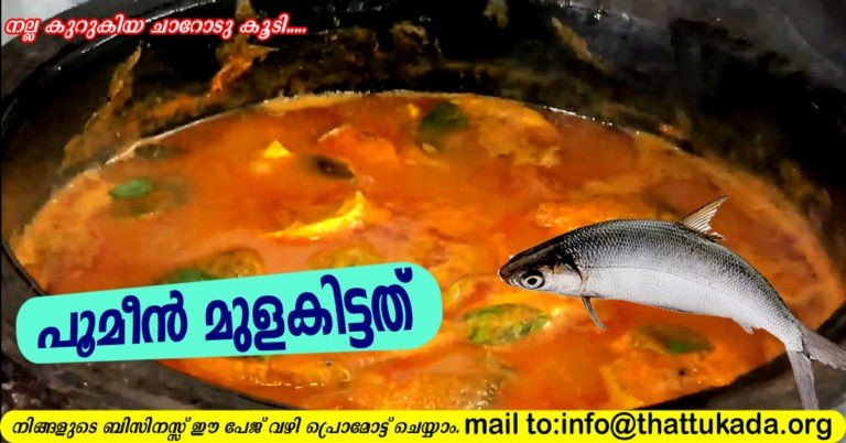 Fish curry( poomeen)