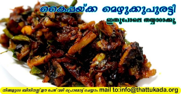 Paavaykka mezhukkupuratti