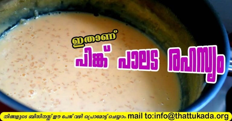 Paalada in a simple way