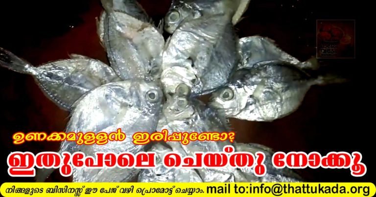 Dry fish fry