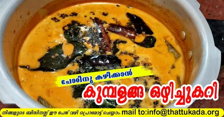 Ash gourd curry for rice