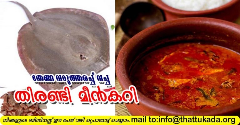 Thirandi fish curry