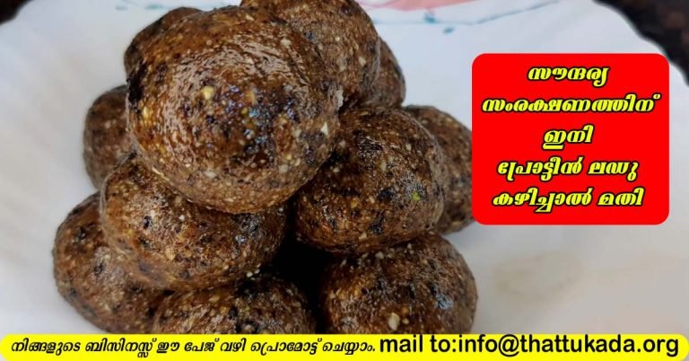 Protein ladoo