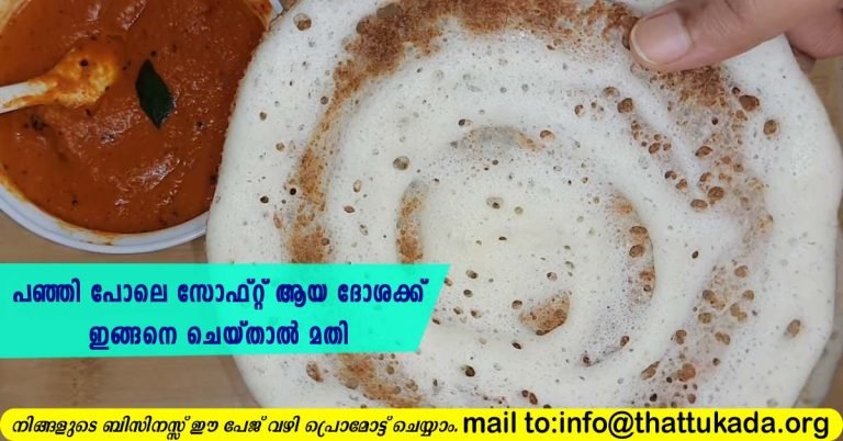 Soft dosa