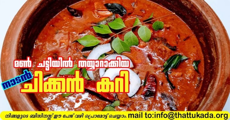 Chicken curry in claypot