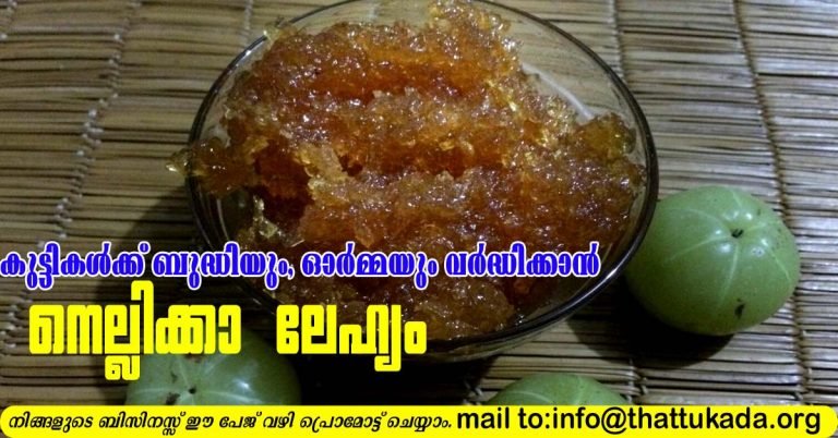 Nellikka Lehyam