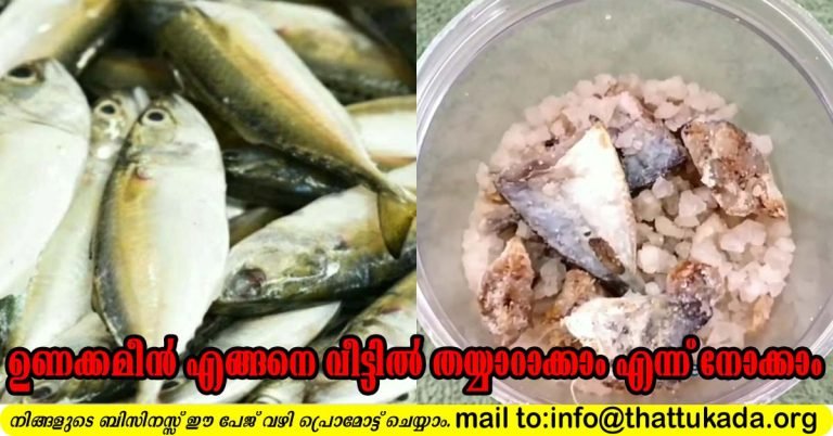 Dry fish preparation