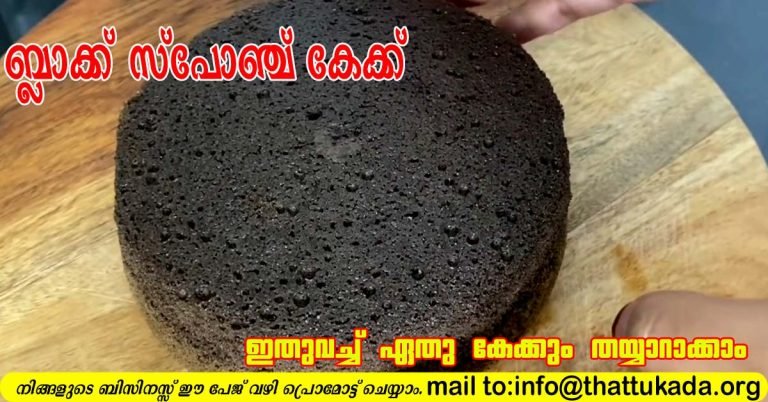 Chocolate Sponge cake