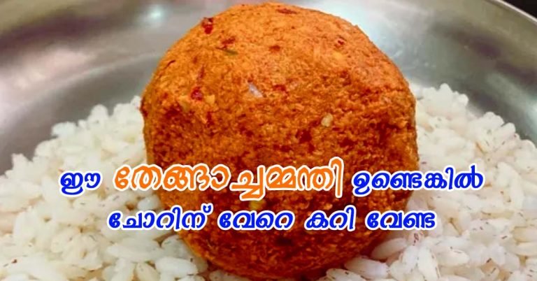 Coconut chammanthi