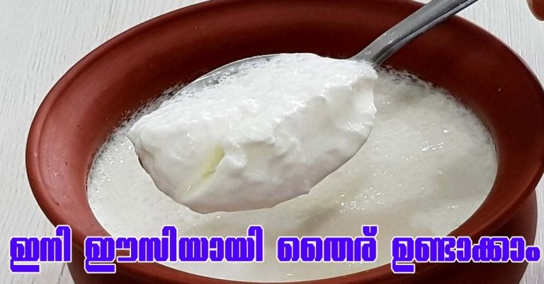 Curd making without curd