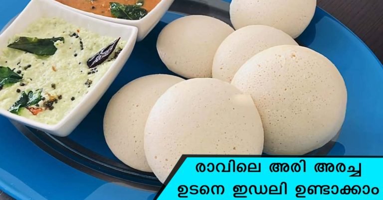 Instant Idli recipe