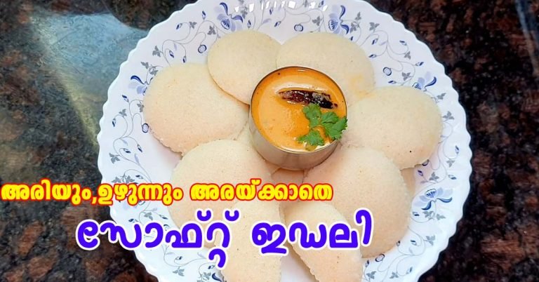 Instant Idli Recipe