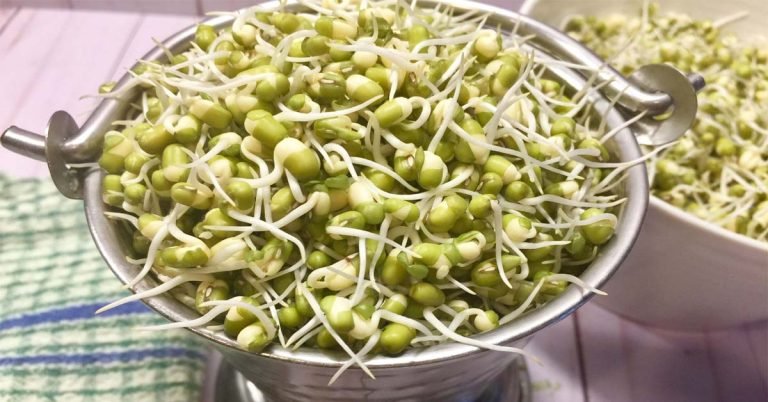 Sprout green gram recipe