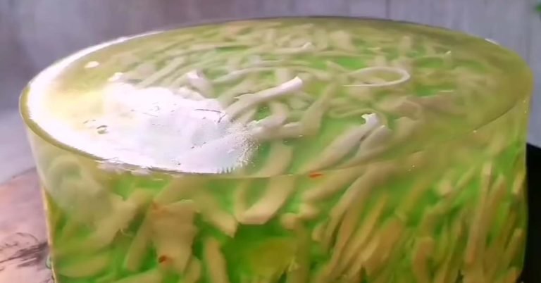 Tender Coconut Jelly Cake