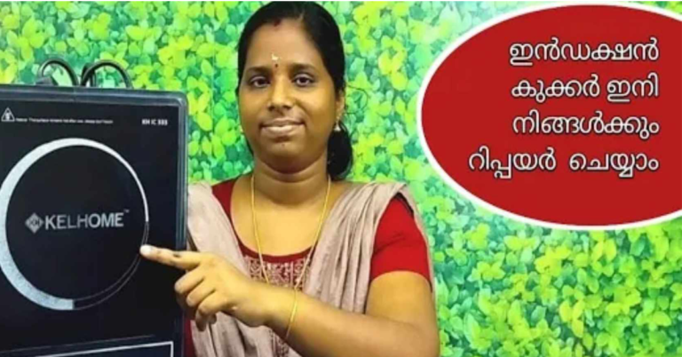 Induction cooker repair at home