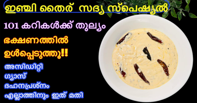 Curd , Ginger curry