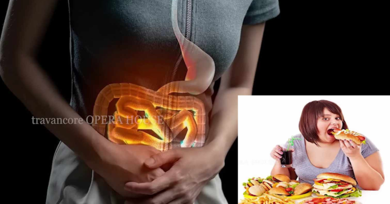 How digestive system works